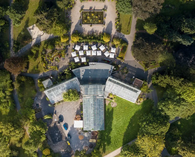 Entdecken Sie den Rombergpark Dortmund aus der Vogelperspektive: Beeindruckende Gewächshausanlage, gepflegte Gartenanlagen und weitläufige Grünflächen im Herzen des Ruhrgebiets. Ein botanisches Highlight für Naturliebhaber.
